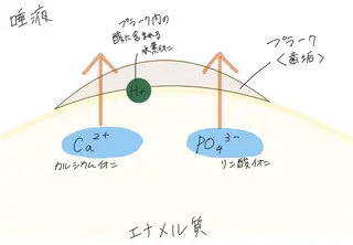 ショート ホワイトニングサロン nico西葛西店のその他イメージ