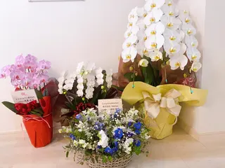 aisea（アイシー）所属・アイシー 〜大人の毛穴ツヤ肌〜のエステ・リラクイメージ