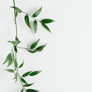 émure. / パラジェル認定のネイルデザイン