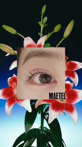 マツエク・マツパ ﾟSugawara/ ﾏﾘｰﾃﾚｼﾞｱ。ﾞのマツエク・マツパデザイン