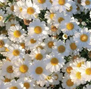 ロング カラー パーマ ヘアアレンジ メンズ キッズ ネイル マツエク・マツパ 髪質改善🫧ベージュ 椙山 響のヘアスタイル