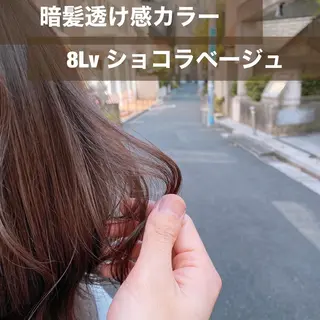 ショート カラー ブリーチなし✨艶髪 カラー𓃲YAGIのヘアスタイル