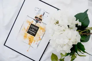 Aimer .のその他イメージ