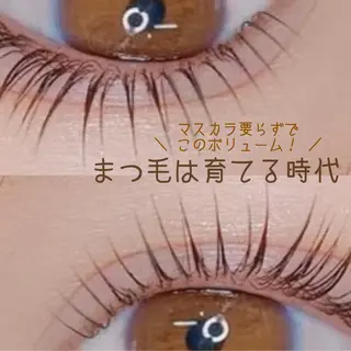 マツエク・マツパ Halte eyelashの眉毛・アイブロウイメージ