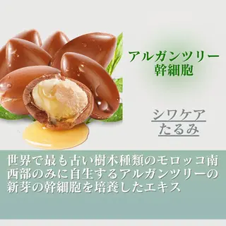 潤い艶肌／肌質改善 YUKAのエステ・リラクイメージ