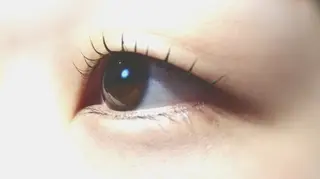 マツエク・マツパ angelux 所属・完全個室サロン🌹 angelux🌹のマツエク・マツパデザイン