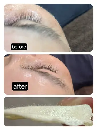 堀 和恵の眉毛・アイブロウイメージ