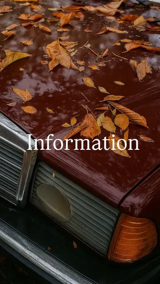 カラー メンズ HARUKI🏔️/ メンズ/透け感カラーのヘアスタイル