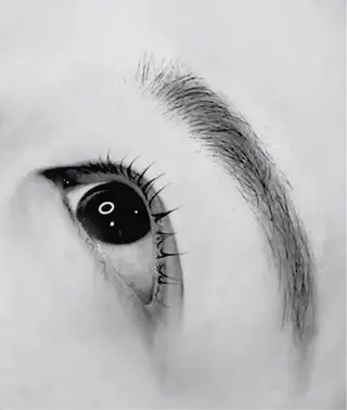 マツエク・マツパ Kamie Yusaのマツエク・マツパデザイン