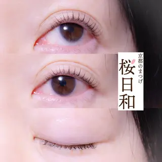 マツエク・マツパ 京都のまつげ桜日和 小島美桜のマツエク・マツパデザイン