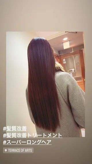 ロング ハイライト/インナー /ブリーチ/レイヤーのヘアスタイル