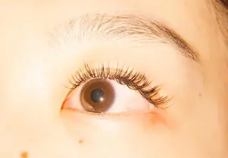 マツエク・マツパ eyelash　Luno【ルーノ】所属・eyelash Lunoのマツエク・マツパデザイン