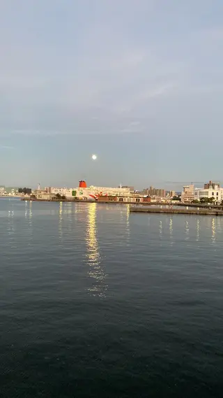 Private Salon S.Nail所属・S.Nail 𓂃٭のネイルデザイン