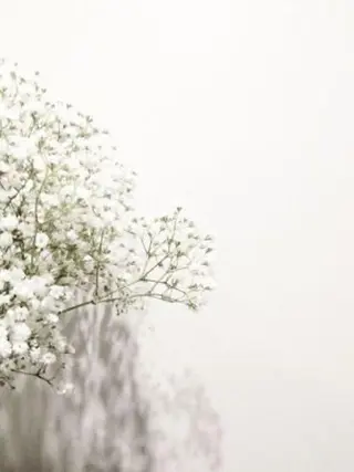 マツエク・マツパ miien(SALONVILLAGE内)所属・MOE /渋谷・明治神宮前のマツエク・マツパデザイン