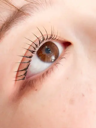 マツエク・マツパ Aprilush🦋 Cieloのマツエク・マツパデザイン