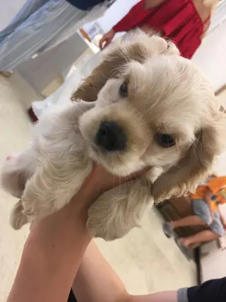 花籠 敬子のエステ・リラクイメージ