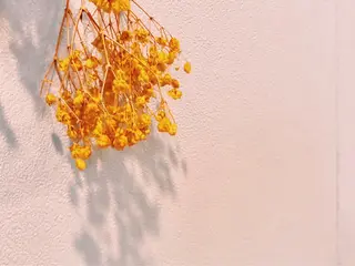 マツエク・マツパ UTA hair&eyelash所属・青木 百花のマツエク・マツパデザイン