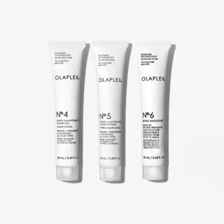 ミディアム カラー Ｖｉｏｔ  銀座 樋口 桃佳のヘアスタイル