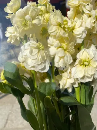 Mandarin Orange所属・毛穴から始める肌メン テマンダリンオレンジのエステ・リラクイメージ