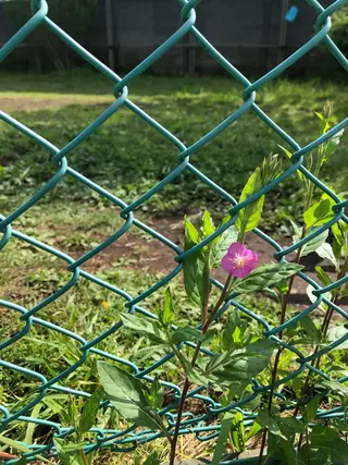 basico  のエステ・リラクイメージ