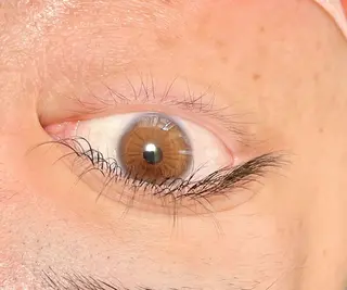 マツエク・マツパ DRESS (ドレス)のマツエク・マツパデザイン