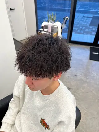 ショート パーマ メンズ 平野 拓海のヘアスタイル