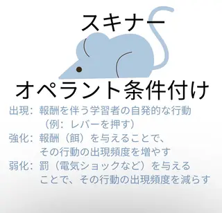 プライベートサロン ドロシーのエステ・リラクイメージ