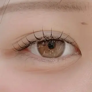 マツエク・マツパ Luxe ···▸﻿ Seike🐈‍⬛⸒の眉毛・アイブロウイメージ