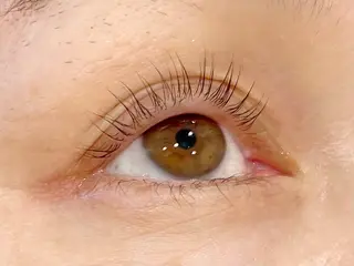 マツエク・マツパ epill Lenna .🦋のマツエク・マツパデザイン