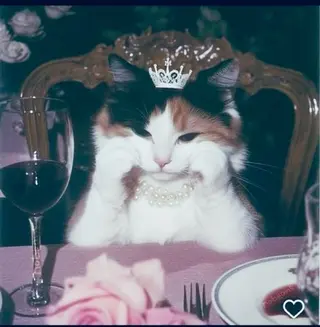 マツエク・マツパ eyelist. mizuki🐈‍⬛のマツエク・マツパデザイン