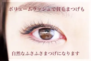 マツエク・マツパ まつげ&眉の専門店 アントススタッフの眉毛・アイブロウイメージ