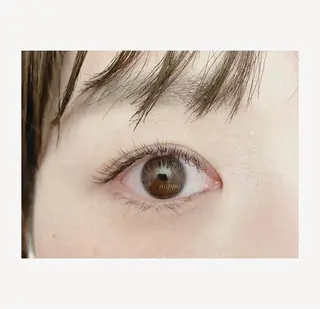 マツエク・マツパ ｍｉｐｐｙ 🪽のマツエク・マツパデザイン