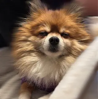 松本|似合わせ眉 ×まつげパーマ×ヘアの眉毛・アイブロウイメージ