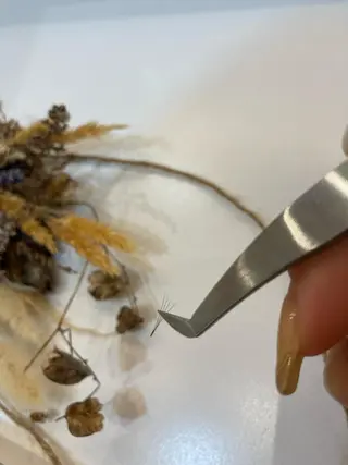 マツエク・マツパ 𓊆ᶠᵉᵉʸ𓊇 ᶜᴴᴵᴴᴬᴿᵁのマツエク・マツパデザイン