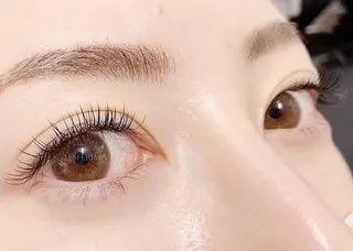 マツエク・マツパ ZULeyelash 柏東口(Jr)のマツエク・マツパデザイン