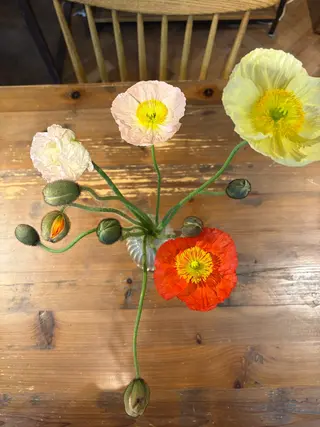 中村 芽衣那のヘアスタイル