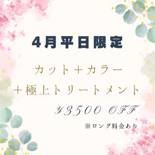 ショート カラー 安藤 まどかのヘアスタイル