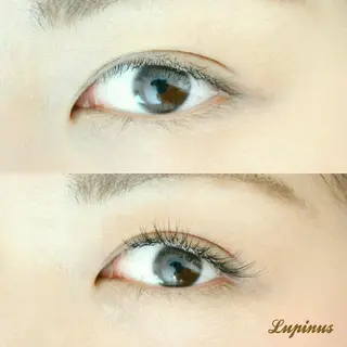 マツエク・マツパ Lupinus 国立店のマツエク・マツパデザイン