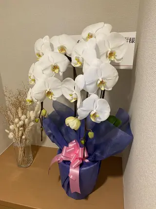 メンズ LOVEホワイト ニング恵比寿店のその他イメージ