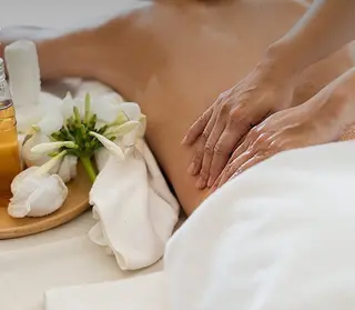 めぐらせの 森のその他イメージ