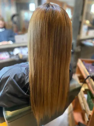 ロング ハイライト/インナー /ブリーチ/レイヤーのヘアスタイル