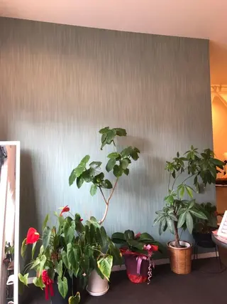 アンベリール所属・Embellir 岡田のマツエク・マツパデザイン