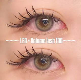 マツエク・マツパ LEDエクステ専門店 Fedis 京橋のマツエク・マツパデザイン