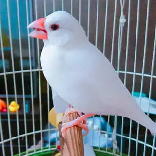 g*rossa高橋 くみこのエステ・リラクイメージ