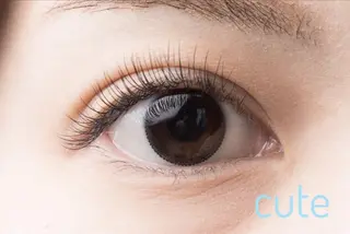 マツエク・マツパ anri （アイリスト）のマツエク・マツパデザイン