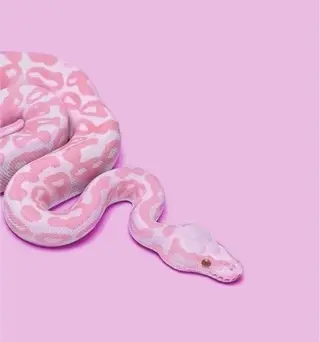 ネイル Hikari 🌺のネイルデザイン