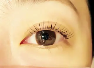 マツエク・マツパ 【Refine】 磯部のマツエク・マツパデザイン