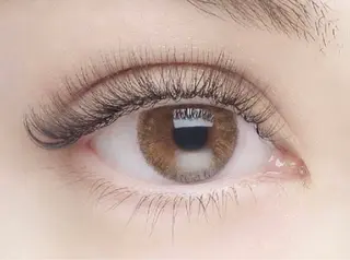 マツエク・マツパ 森　アイラシュ (旧魅力総合サロン）のマツエク・マツパデザイン