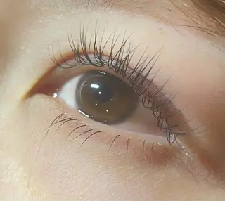 マツエク・マツパ eam（イーム）所属・katano harunaのマツエク・マツパデザイン