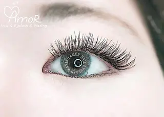 マツエク・マツパ Amor所属・AMOR EYELASHのマツエク・マツパデザイン